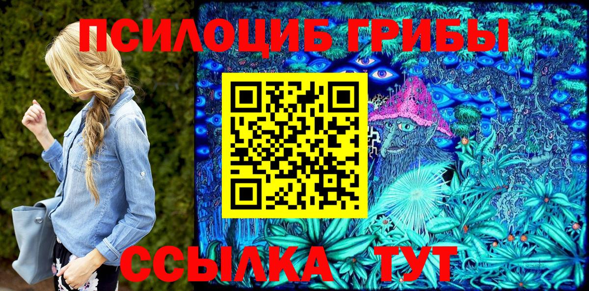 Псилоцибиновые грибы Psilocybine cubensis  Псилоцибиновые грибы мицелий  Вход с VPN  Жигулёвск 
